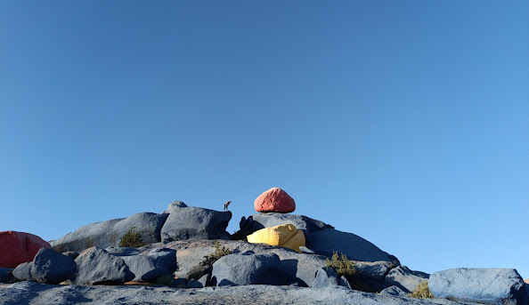 Painted-Rocks-Tafraoute-Anti-Atlas-Excursion.jpg