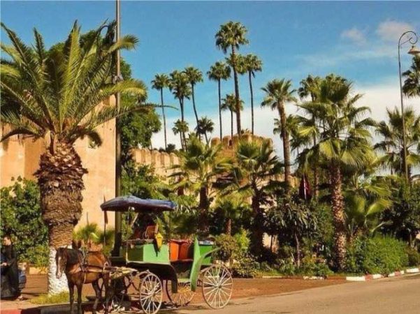 Day Trip to Taroudant and Tiout – Discover the Authenticity of Southern Morocco